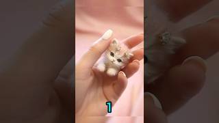 Funny cat, candy cats, cute candy, #cat #cute #catclub #catlover #cats #shorts #shortvideo #funny