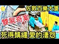 Smart Travel《娱乐八卦》香港奇案｜ 佐敦百樂大廈雙X案(1978年)｜死得黐纏 愛的深淵 ｜   即時新聞│ 豪門秘聞｜ 娛圈新聞