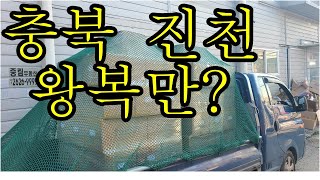 [어쩌다 콜바리] 10. 24  충북 진천 왕복만 하나요?