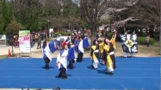 王歌七舞会　～京都さくらよさこい2012(岡崎都市公園会場)