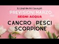 OROSCOPO MARZO 2023 CANCRO SCORPIONE PESCI. SEGNI ACQUA🔮Tarocchi Previsioni Segni Zodiacali.