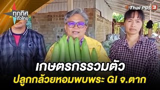 เกษตรกรรวมตัวปลูกกล้วยหอมพบพระ GI จ.ตาก | ทุกทิศทั่วไทย | 12 ม.ค. 67