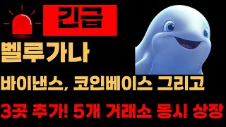 [벨루가나]바이낸스, 코인베이스 그리고 3곳 추가! 5개 거래소 동시 상장 계획 발표합니다!!