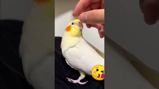 cute cocktail 🐦| #massage #tiktok #reels #trending #eroup #indian