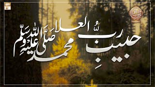 Habib E Rabul Ula Muhammad ﷺ - A Beautiful Kalam 2022 by Afaq Ahmed