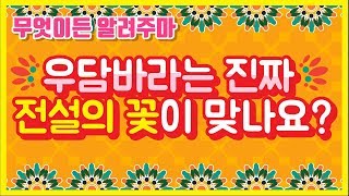 자현스님의 자신감 19회 무엇이든알려주마 - 우담바라는 진짜 전설의 꽃이 맞나요?