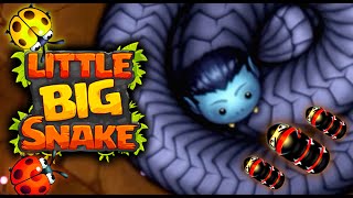 LITTLE BIG SNAKE | WORLD'S LONGEST SNAKE | NEW SKIN UPLOAD |  Littlebigsnake.io Gameplay