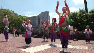 『てんしゃばフェスタ踊り子隊・八国夢走』さん　2023.7.23 たまよさこい2023 ポケット広場