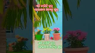 ଏହି ଚାରିଟି ସ୍ବପ୍ନ ହେଇଥାଏ ଅତ୍ୟନ୍ତ ଶୁଭ #odiagyana #story #gk #love #muodia #shreeshakti