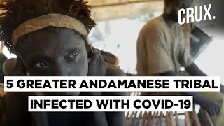 Why Members Of The Greater Andamanese Tribe Are In Severe Danger?