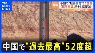 中国各地で40度以上の「超高温」相次ぐ　北西部では52度超え　国内の過去最高更新｜TBS NEWS DIG