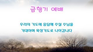 마중물선교교회 금향기예배 실황 (2025. 2. 7) [하나님의 마음알기] 신재국 목사