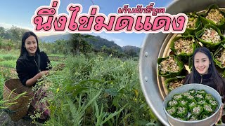 The way of hill tribe life EP237 Havest Rattail radish steamed with red ant eggs Ancient Lanna food