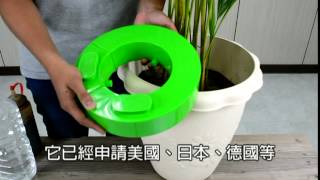 【創綠種植學園】盆栽換盆教學－Jing老師