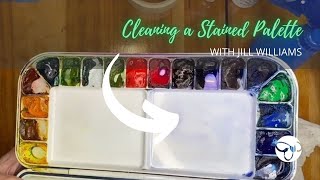 How to clean a stained watercolor palette // Jill Williams Watercolor