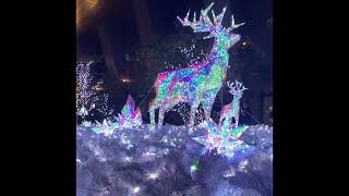 Christmas Illumination at Nagoya Sky Garden 2024名古屋スカイガーデン