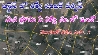 ఆన్లైన్ లో సర్వే నంబర్ టిప్పన్ వివరాలు హద్దులు తెలుసుకోవడం ఎలా||Online Tippon Information \u0026 Borders