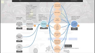 CONN fMRI 静息态数据处理4：数据质量检查QA Check