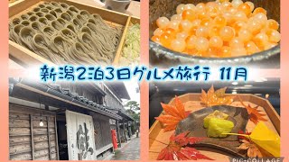 新潟グルメツアー、2泊3日で美味しいものを、沢山食べてきました