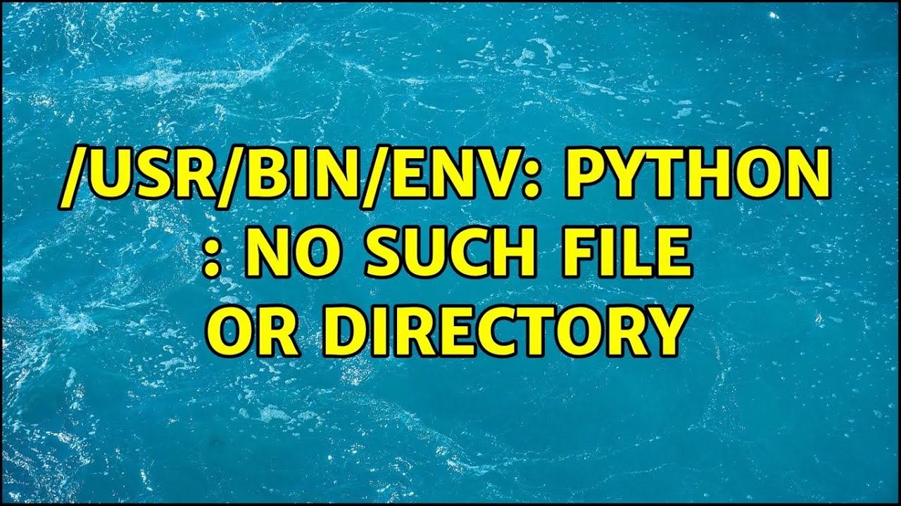 Bin bash no such file. No such file or Directory питон. /Usr/bin/Python.