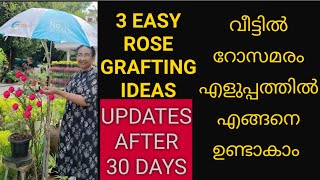 3 EASY ROSE GRAFTING METHODS/EASY GRAFTING METHODS FOR ROSE PLANT/ HOW TO BUD ROSE EASILY