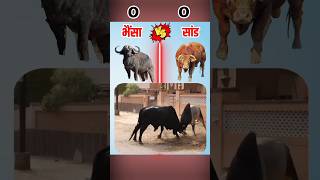 Buffalo vs Bull #shorts #viral #trending #competition