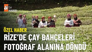 ÖZEL HABER - Fotoğraf stüdyosu.. Rize'de çay bahçelerinin güzelliği... - atv Ana Haber 2 Temmuz 2023