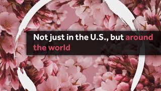 How climate change could effect cherry blossoms