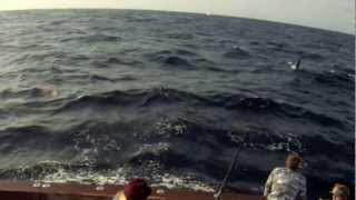 Giant Black Marlin!!!  4 over 1,000lbs!!! plus Eduardo's 1,038lb marlin!!! 1080 HD