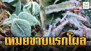 เหนือหนาวแล้ว! เหมยขาบแรกโผล่ กิ่วแม่ปานเที่ยวฟิน 4 องศา | ข่าวอรุณอมรินทร์ | 12/12/67