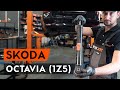 Jak wymienić amortyzatory tylne w OCTAVIA (1Z5) [PORADNIK AUTODOC]