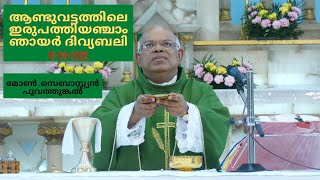 ആണ്ടുവട്ടത്തിലെ ഇരുപത്തിയഞ്ചാം ഞായർ ദിവ്യബലി