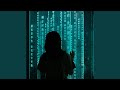 Signal