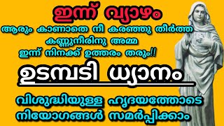 ഇന്ന് ജനുവരി 23 വ്യാഴം -നമ്മുടെ എല്ലാ നിയോഗങ്ങളും സമർപ്പിച്ചു പ്രാർത്ഥിക്കാം ||#കൃപാസനം #kreupasanam