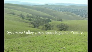 869 - Sycamore Valley Open Space Regional Preserve