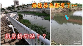 雨後什鬼東西都有了!及新康橋釣點?