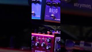 The Brig by @strymon is amazing.