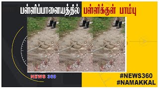 பள்ளிபாளையம் பள்ளிக்குள் பாம்பு | #NEWS360