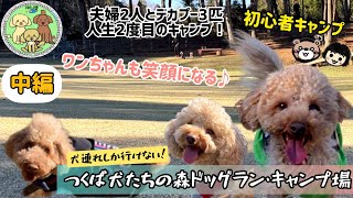 犬連れキャンプ！【つくば犬たちの森ドッグランキャンプ場 】へ行って来ました♪巨大ドッグラン最高でした！