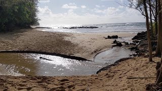 20220814: On the Beach, Not Quite Alone