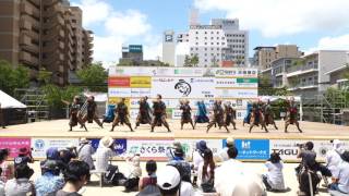 楽天童子　うらじゃ２０１７　下石井公園会場2日目　４ｋ