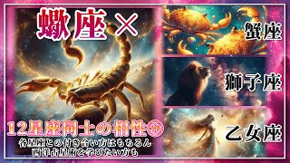 【12星座同士の相性編２６】蠍座×「蟹座」「獅子座」「乙女座」