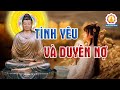 Người Thất Tình Nên Nghe Video Này - Phật dạy về TÌnh Yêu và Duyên Nợ - Rất Hay