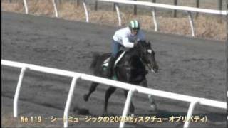 HBAトレーニングセール2011 - No.119