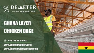 Battery Layer Farm Cages Price in Accra Ghana for 10000 Chicken #chickencageghana