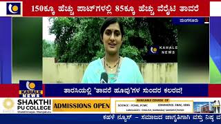 ತಾರಸಿಯಲ್ಲಿ ‘ತಾವರೆ ಹೂವು’ಗಳ ಸುಂದರ ಕಲರವ! – ಕಹಳೆ ನ್ಯೂಸ್