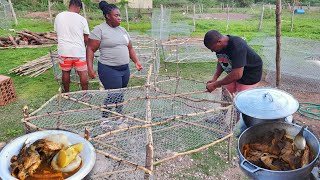 making my first set of fish pot and cooking dumpling and fish for lunch hard-working day