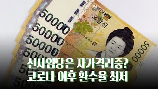 5만원권이 사라졌다…신사임당은 '자가격리' 중?  [따져보니]