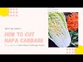 How to cut a napa cabbage