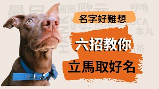 寵物生活｜六招教你取好名